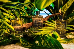 Tulum Junglescape