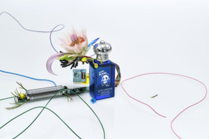 Strange Heavens - Out of the Blue